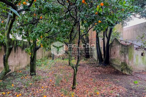 Villa a Almeirim, Santarem, Almeirim - € 89.000 | Ref: FR947 - foto 14