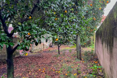 Villa a Almeirim, Santarem, Almeirim - € 89.000 | Ref: FR947 - foto 20