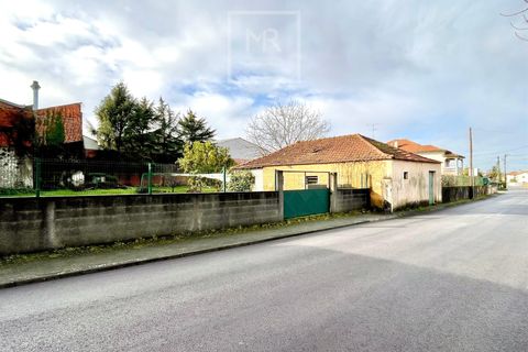 Tomt i Agueda, Aveiro, Agueda - € 65 000 | Ref: 138/2025 - foto 3