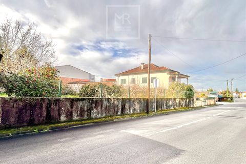 Tomt i Agueda, Aveiro, Agueda - € 65 000 | Ref: 138/2025 - foto 4