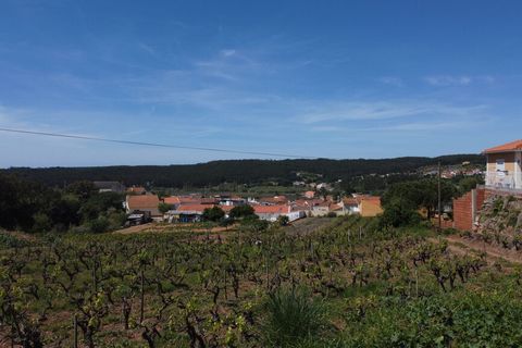 Helårsgrund i Torres Vedras, Lisbon, Torres Vedras - € 70.000 | Ref: 64540 - foto 3