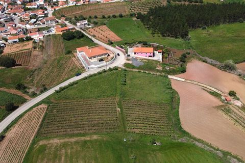 Helårsgrund i Torres Vedras, Lisbon, Torres Vedras - € 70.000 | Ref: 64540 - foto 4