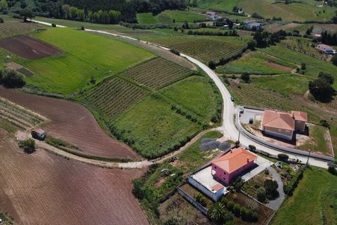 Helårsgrund i Torres Vedras, Lisbon, Torres Vedras - € 70.000 | Ref: 64540 - foto 6