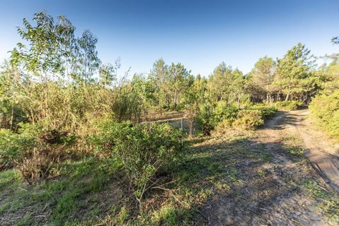 Helårsgrund i Nazare, Leiria, Nazare - € 139.000 | Ref: 63103 - foto 2