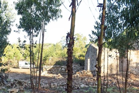 Helårsgrund i Nazare, Leiria, Nazare - € 139.000 | Ref: 63103 - foto 4