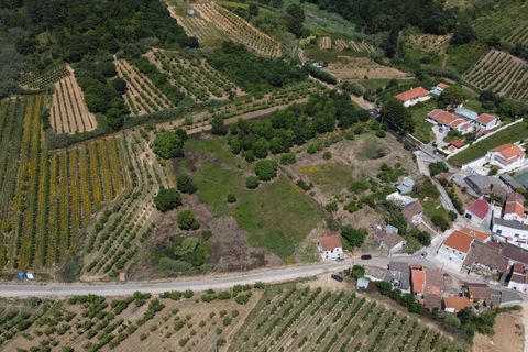 Helårsgrund i Bombarral, Leiria, Bombarral - € 175.000 | Ref: 64544 - foto 3