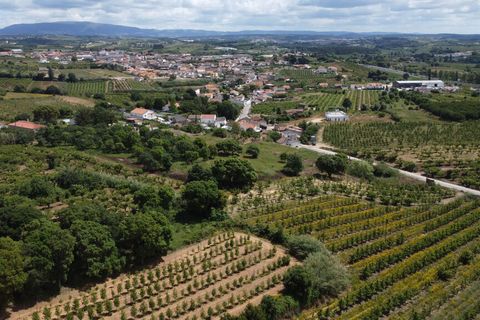 Helårsgrund i Bombarral, Leiria, Bombarral - € 175.000 | Ref: 64544 - foto 4
