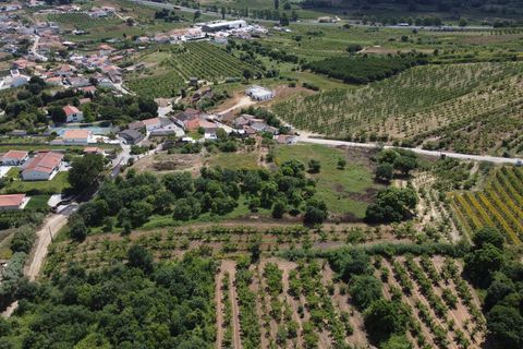 Helårsgrund i Bombarral, Leiria, Bombarral - € 175.000 | Ref: 64544 - foto 5