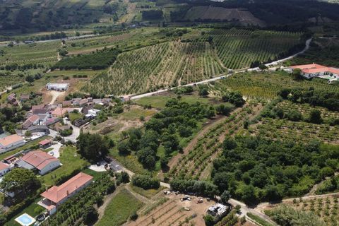 Helårsgrund i Bombarral, Leiria, Bombarral - € 175.000 | Ref: 64544 - foto 6