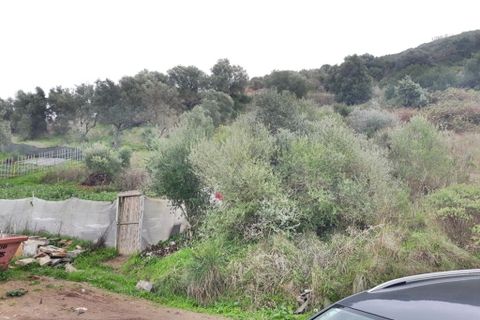Helårsgrund i Odivelas, Lisbon, Odivelas - € 175.000 | Ref: 49373 - foto 8