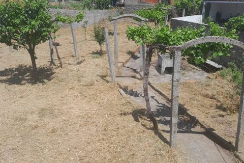 Byhus i Arganil, Coimbra, Arganil - € 140.000 | Ref: 61902 - foto 2