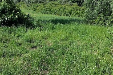 Helårsgrund i Sintra, Lisbon, Sintra - € 420.000 | Ref: 41346 - foto 3