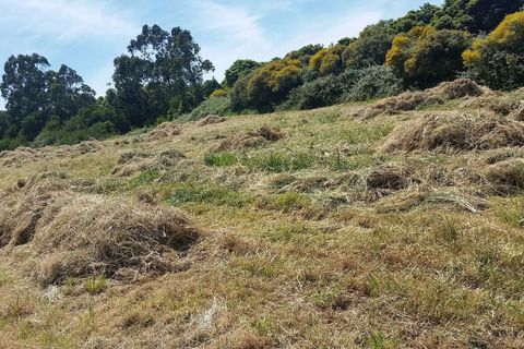 Helårsgrund i Sintra, Lisbon, Sintra - € 420.000 | Ref: 41346 - foto 4