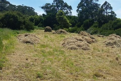 Helårsgrund i Sintra, Lisbon, Sintra - € 420.000 | Ref: 41346 - foto 7