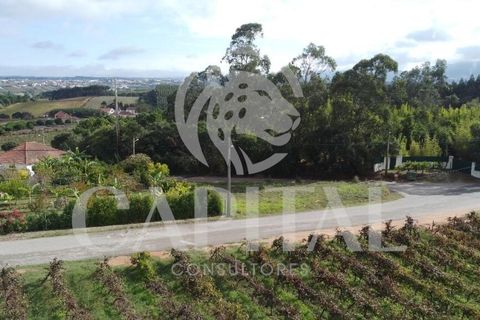 Helårsgrund i Bombarral, Leiria, Bombarral - € 39.000 | Ref: 70031 - foto 11