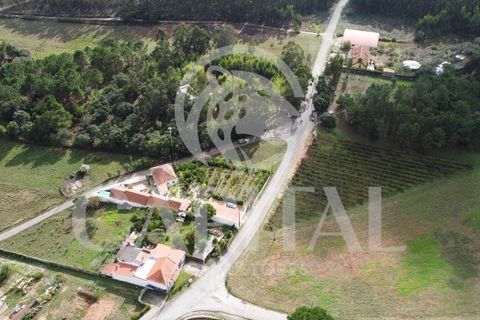 Helårsgrund i Bombarral, Leiria, Bombarral - € 39.000 | Ref: 70031 - foto 13
