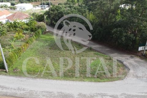 Helårsgrund i Bombarral, Leiria, Bombarral - € 39.000 | Ref: 70031 - foto 14