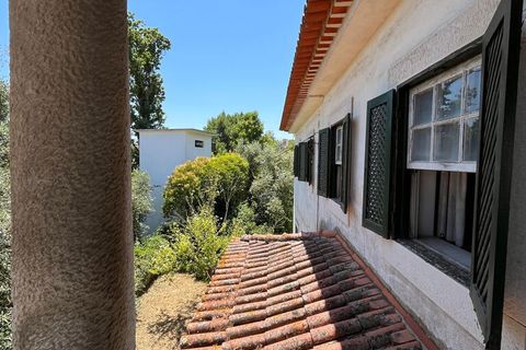 Byhus i Torres Novas, Santarem, Torres Novas - € 490.000 | Ref: 65761 - foto 12