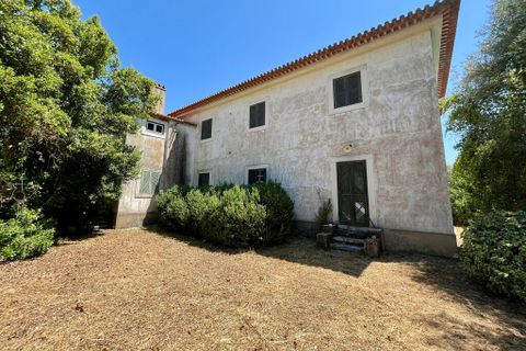Byhus i Torres Novas, Santarem, Torres Novas - € 490.000 | Ref: 65761 - foto 50
