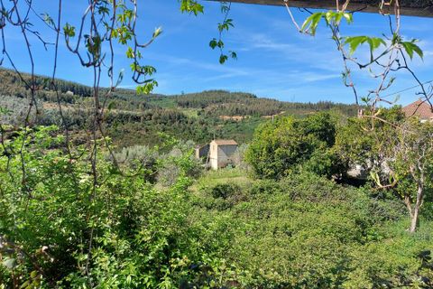 Byhus i Arganil, Coimbra, Arganil - € 197.000 | Ref: 55496 - foto 5