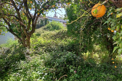 Byhus i Arganil, Coimbra, Arganil - € 197.000 | Ref: 55496 - foto 6
