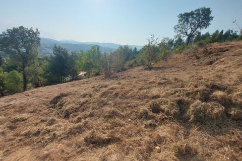Helårsgrund i Arganil, Coimbra, Arganil - € 27.500 | Ref: 65849 - foto 2