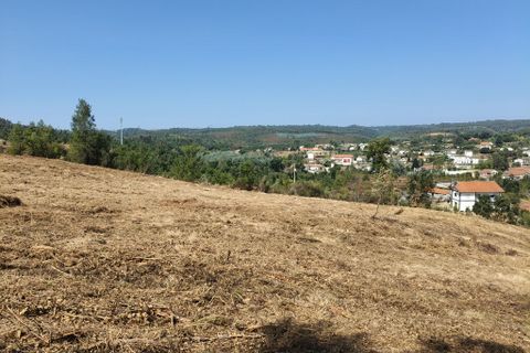 Helårsgrund i Arganil, Coimbra, Arganil - € 27.500 | Ref: 65849 - foto 4