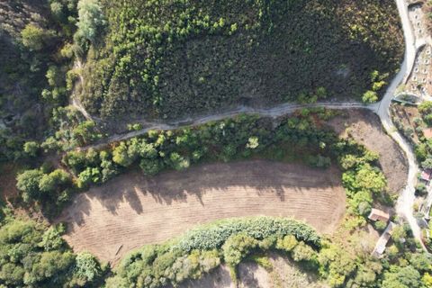 Byhus i Arganil, Coimbra, Arganil - € 120.000 | Ref: 65759 - foto 7