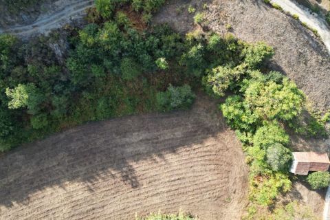 Byhus i Arganil, Coimbra, Arganil - € 120.000 | Ref: 65759 - foto 8