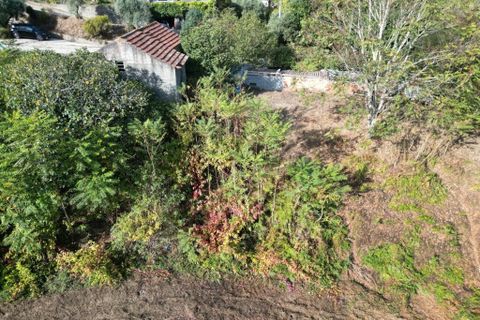 Byhus i Arganil, Coimbra, Arganil - € 120.000 | Ref: 65759 - foto 10
