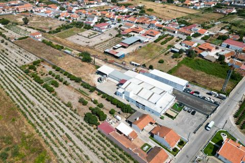 Erhvervsejendom i Almeirim, Santarem, Almeirim - € 1.650.000 | Ref: 65737 - foto 2