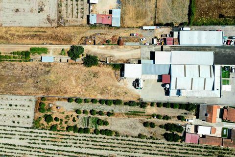 Erhvervsejendom i Almeirim, Santarem, Almeirim - € 1.650.000 | Ref: 65737 - foto 3