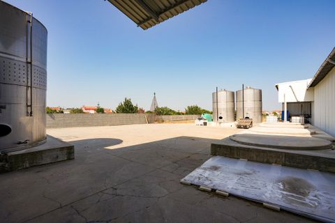 Erhvervsejendom i Almeirim, Santarem, Almeirim - € 1.650.000 | Ref: 65737 - foto 15
