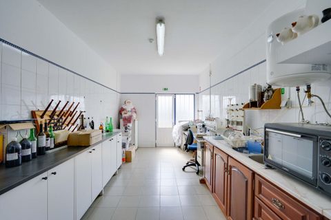 Erhvervsejendom i Almeirim, Santarem, Almeirim - € 1.650.000 | Ref: 65737 - foto 17