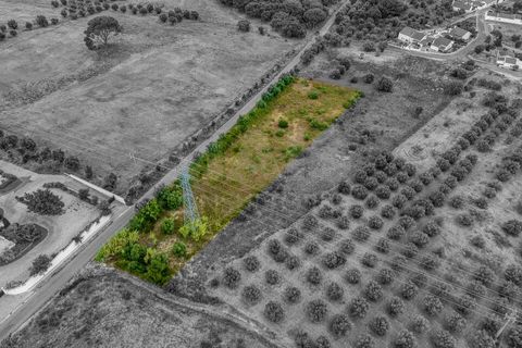 Helårsgrund i Azambuja, Lisbon, Azambuja - € 35.000 | Ref: 61624 - foto 7