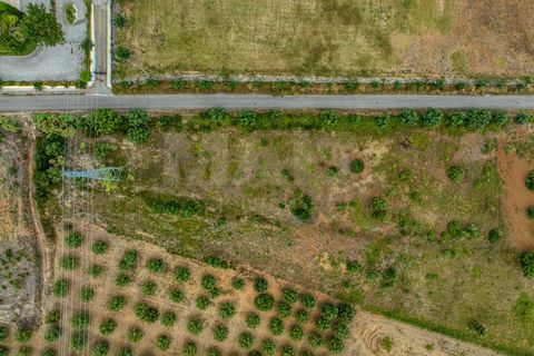 Helårsgrund i Azambuja, Lisbon, Azambuja - € 35.000 | Ref: 61624 - foto 9