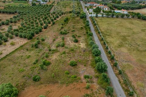 Helårsgrund i Azambuja, Lisbon, Azambuja - € 35.000 | Ref: 61624 - foto 10