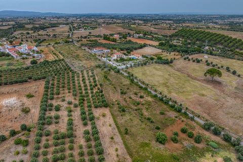 Helårsgrund i Azambuja, Lisbon, Azambuja - € 35.000 | Ref: 61624 - foto 11