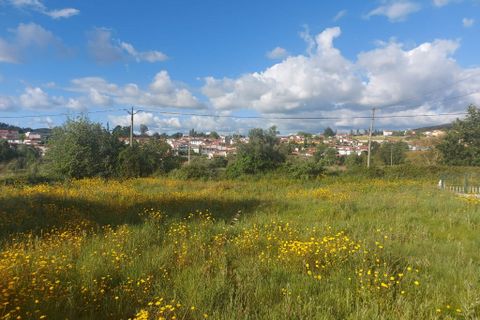 Helårsgrund i Arganil, Coimbra, Arganil - € 70.000 | Ref: 60468 - foto 27