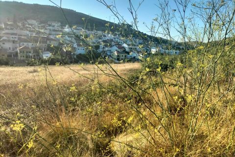 Helårsgrund i Loures, Lisbon, Loures - € 160.000 | Ref: 51150 - foto 5