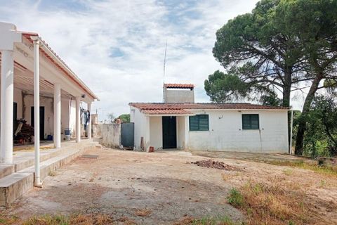 Byhus i Coruche, Santarem, Coruche - € 140.000 | Ref: 57775 - foto 5