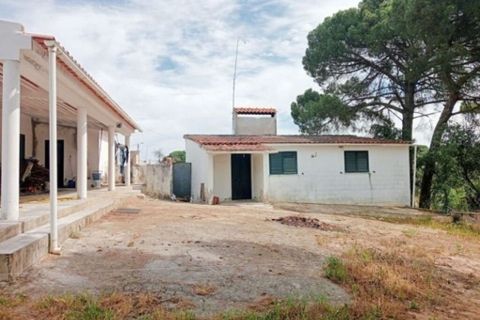 Byhus i Coruche, Santarem, Coruche - € 140.000 | Ref: 57775 - foto 24