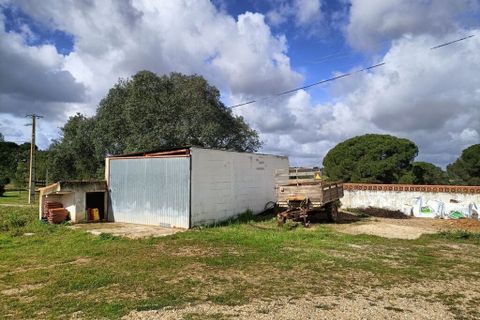 Byhus i Coruche, Santarem, Coruche - € 140.000 | Ref: 57775 - foto 26