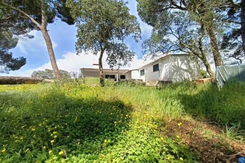 Byhus i Coruche, Santarem, Coruche - € 140.000 | Ref: 57775 - foto 27