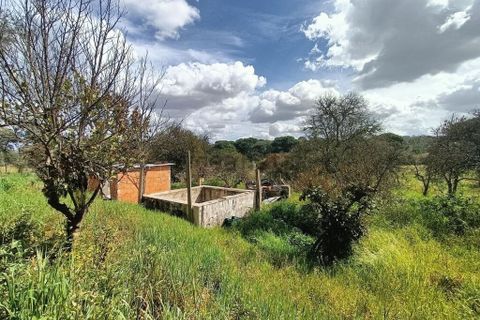 Byhus i Coruche, Santarem, Coruche - € 140.000 | Ref: 57775 - foto 28
