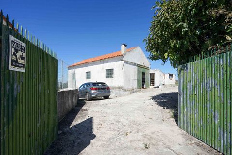 Farm i Mafra, Lisbon, Mafra - € 340.000 | Ref: 57666 - foto 11