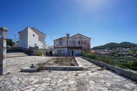 Farm i Mafra, Lisbon, Mafra - € 340.000 | Ref: 57666 - foto 13