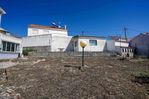 Farm i Mafra, Lisbon, Mafra - € 340.000 | Ref: 57666 - foto 17