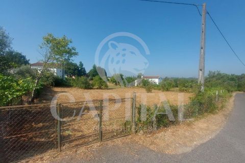 Helårsgrund i Arganil, Coimbra, Arganil - € 29.500 | Ref: 65696 - foto 2