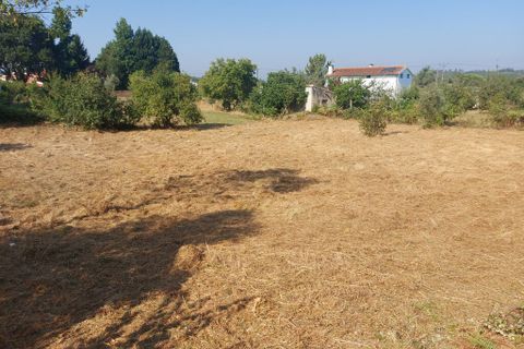 Helårsgrund i Arganil, Coimbra, Arganil - € 29.500 | Ref: 65696 - foto 3